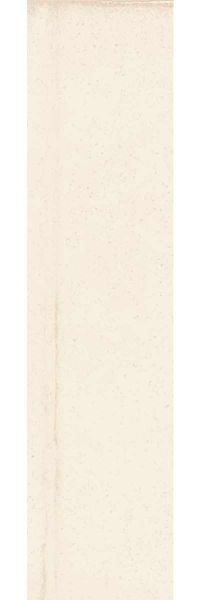 Carrelage décor mural Tallen 5X20 White poli